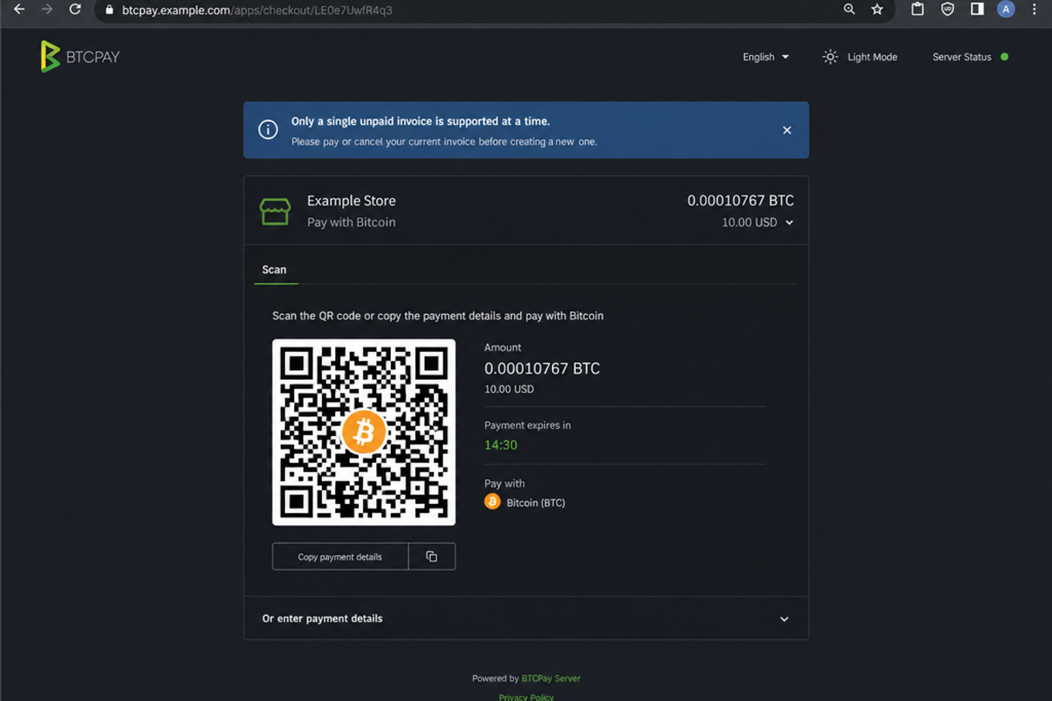 single outstanding unpaid DASHE invoice (demo constraint)
